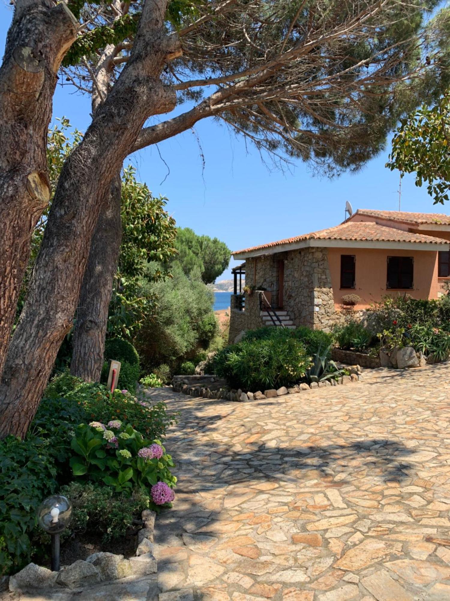 Casa Azara Casa Bougainvillea מראה חיצוני תמונה